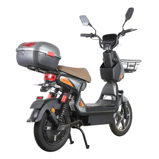 Chinese Factory Wholesale Extremely Cool Race Tiger Electric Bicycle with Tail Box Style Novel Manned Electric Bicycle