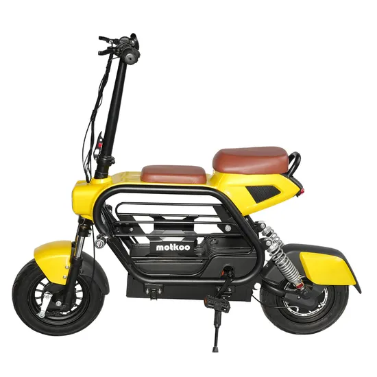 Long Distance 48V500W 300W Hub Motor Electric City Bike 48V15ah Ebike Mini Scooter for Adults of All Age