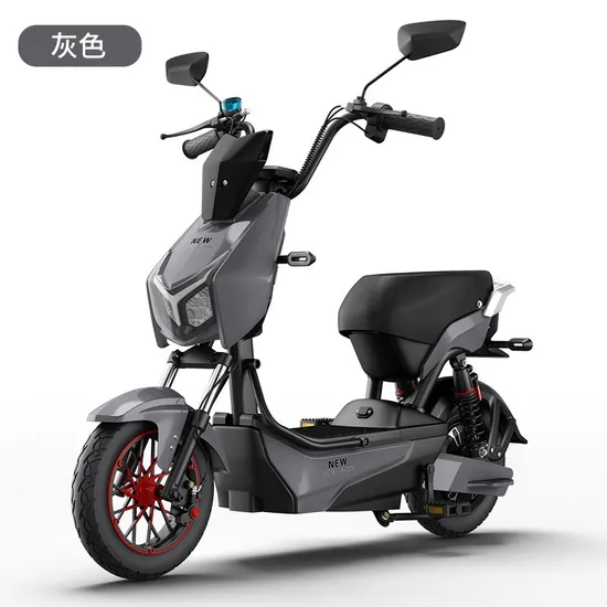 Electric Bicycle Scooter Adult Bike Motorcycle Bicycle with 14 Inch Fat Tire