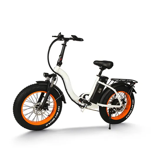 48V 350W Pedal-Assist Throttle Removable Battery E- Bike Commuter Foldable Bicycle City Electric Folding Bike