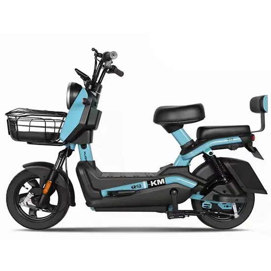 Electric Bike 20 Inch 750W Big Tire Fat Tire Electric Bike