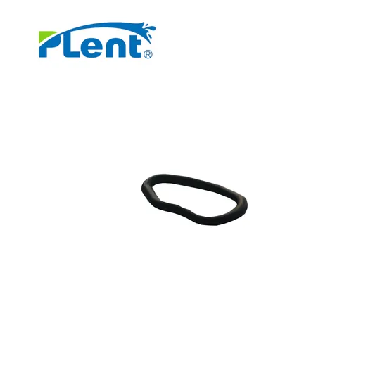 Vane Pump Sealing Rubber Parts for New Energy Vehicles