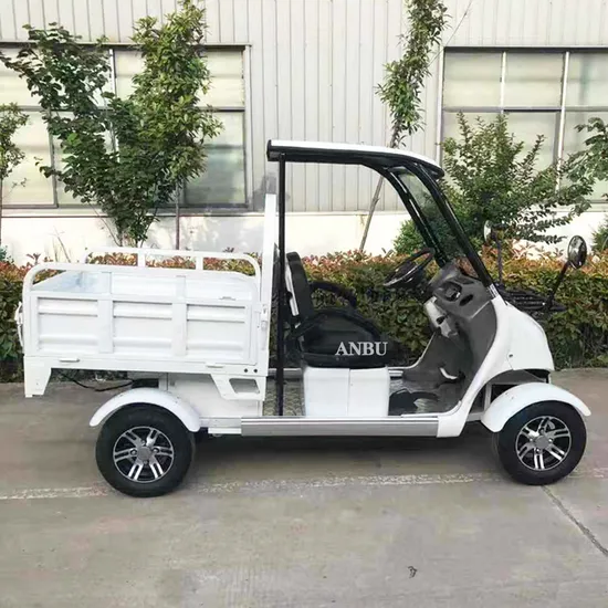 2 Seater Golf Cart with Electric Power