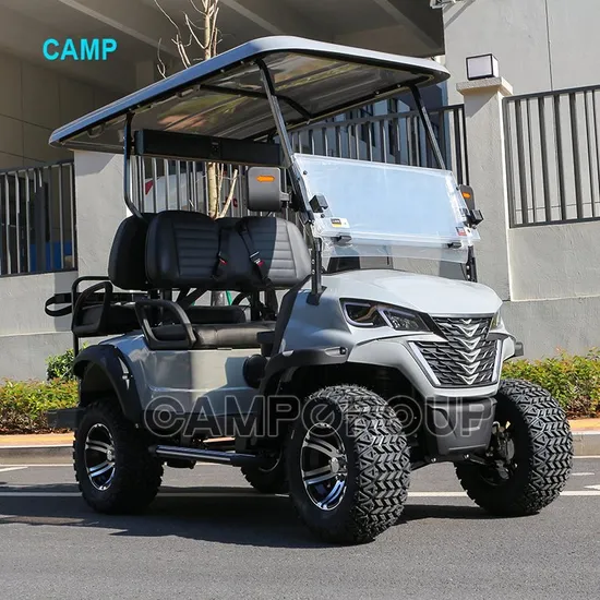 4X4 Mini Electric Golf Cart Ready for Delivery with Coc EEC Certification
