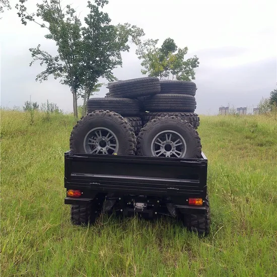 New Classic Custom Models off Road UTV Sells Very Well for Farm
