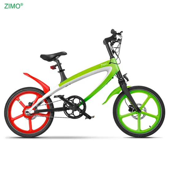 2025 Popular 36V 240W Fat Tire Mountain Bike E City Bicycle Sports Pedal Assist Electric Bike