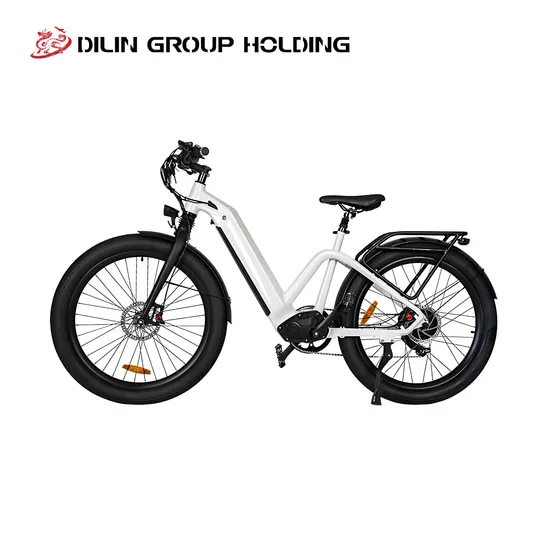 High Performance 500W Electric Bike, 2 Wheel Long Range Electric Bicycle, City Road/Mountain E-Bike, Safety & Durable E-Bicycle