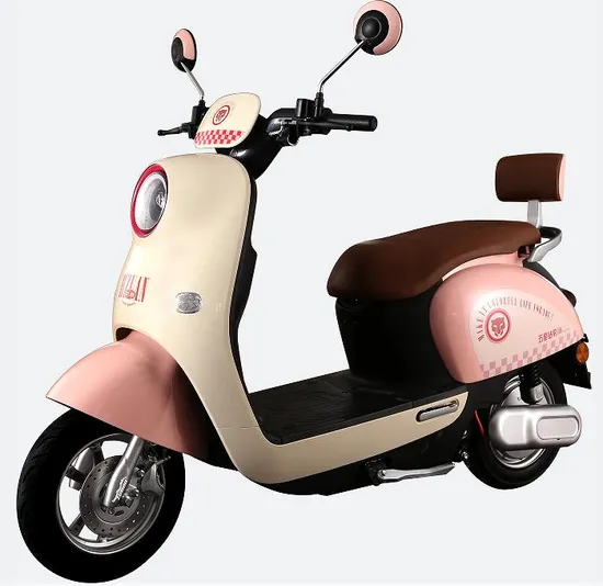 Hot Sell Promotion Economic Electric Scooter for Woman Two Wheel Electric Scooter Electric Moped