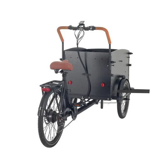 3 Wheel E-Cargo Bike with Steel Box for Family and Dog-Friendly Transportation