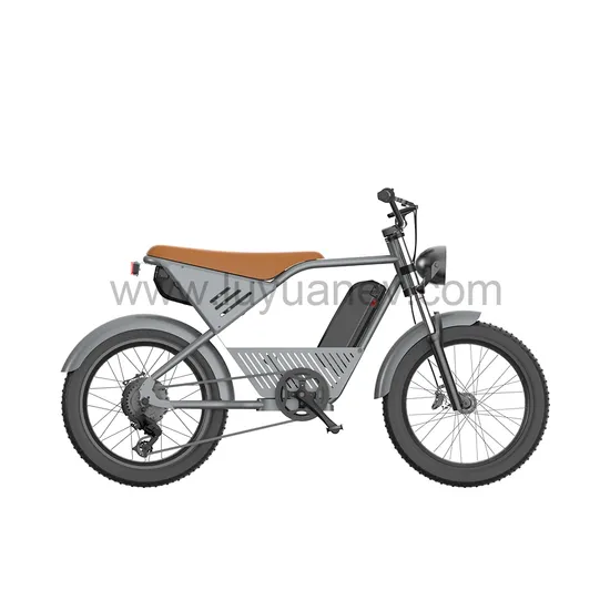 EB S1E Electric Motorbike EEC L1 NCM Lithium 500W/750W LUYUAN electric vehicle electric bicycle