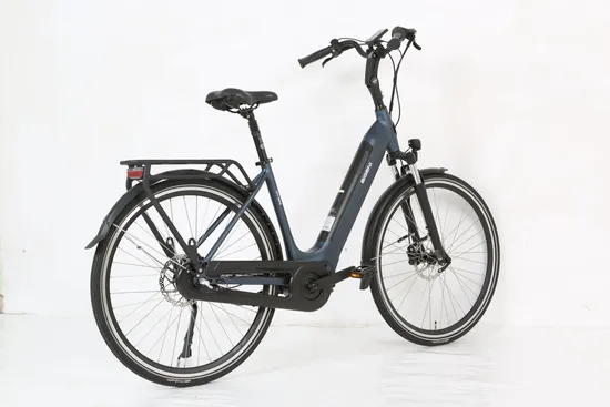 28 Inch Adult Ladies Step Through E Bike City 36V 250W Disc Brake Electric Bicycle for Sale