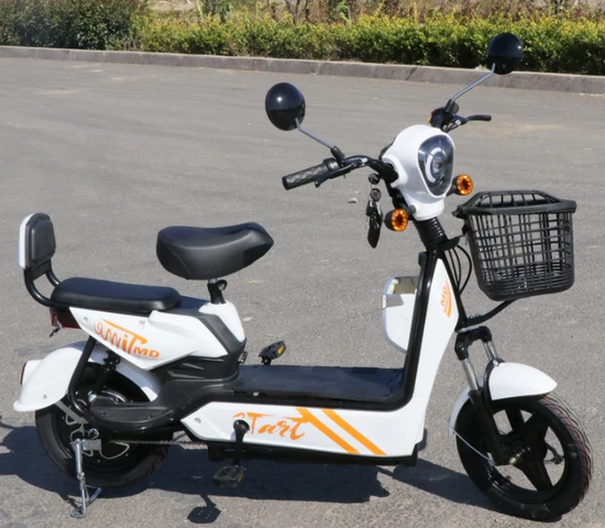 Electric Bike with Rear Hub Motor, Tailored for OEM & ODM Needs