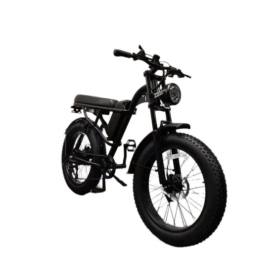 Z8PRO Fatbike Electric Bike: Hydraulic Brakes and 48V 15ah Power