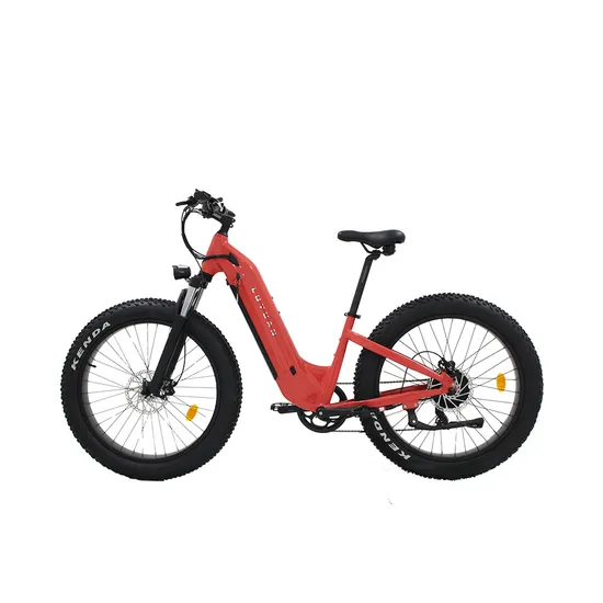 Electric Bike LUYUAN EB 2C NCM Lithium 500W/750W 25km/h,32km/h,45km/h