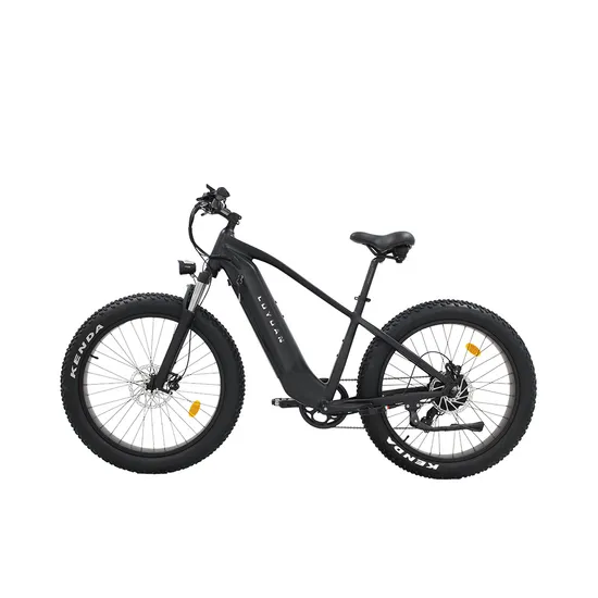 Electric Bike LUYUAN EB 2M  NCM Lithium 500W/750W 25km/h,32km/h,45km/h