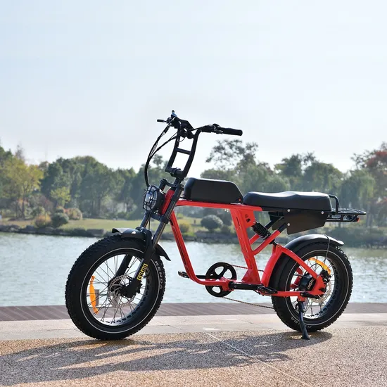 Dual Motor 1000W Electric Bike New Design Full Suspension Ebike