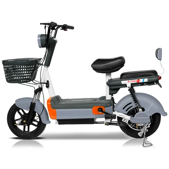 Fulong-Electric-Vehicle-2024-Popular-Electric-Bike