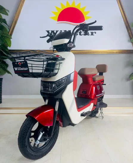 Willstar Electric Bicycle Ty188 High Quality with Chilwee Lead Acid Battery for Adult