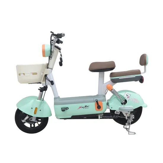 Fashionable Ebike14 Inch Electric Bike Adult with Lead Acid Batteries 48V 350W Electric Bike