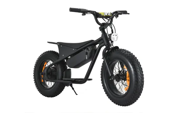 Alloy Kids Electric Bike with 36V/48V Battery for Balance Race Electric Bicycle with Fat Tire