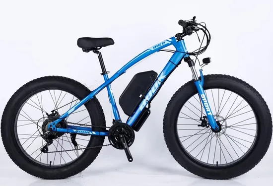 New Type High Quality Fat Tire Electric Bicycle with 36V 10ah Lithium Battery Have LCD Big Screen Snow Tire Battery Power Mountain Bike Electric Vehicle
