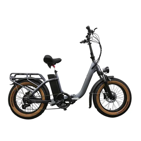 20 Inch Fat Tire 20*4 7 Speed 48V 750W Electric Dirt Bikes with Hydraulic Disc Brake