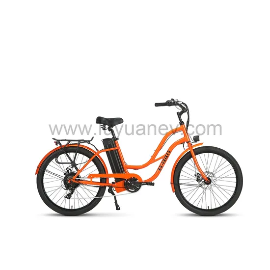 Electric Bike Bicycle LUYUAN EB E2 SAMSUNG Battery 250W City Bike for Adults