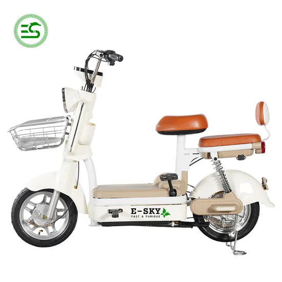 2024 New Electric Scooter with CE Coc Certificate 350W/500W 48V Electric Bicycle Electric Bike China Factory