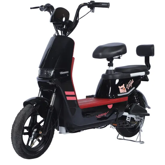 High-Quality High-Speeds 500W 48V-12A Aluminum-Alloy Adult Lead-Acid Electric City Bike