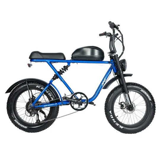 48V25ah LG Battery Sport Powerful Electric Dirt Bike with 500W Rear Motor