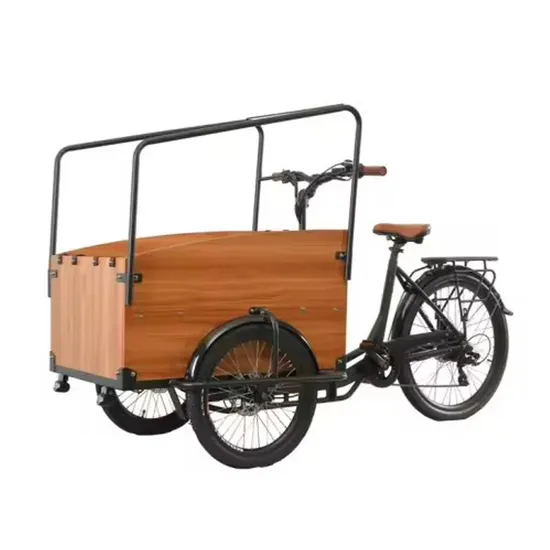Electric Tricycle 250W/350W with Wood Box Kids Seat Cargo Bike for Family