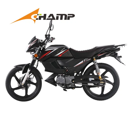 E-Motorbike Automatic High Speed Electric Motorcycle Moped Alpha for Adult Motorcycle
