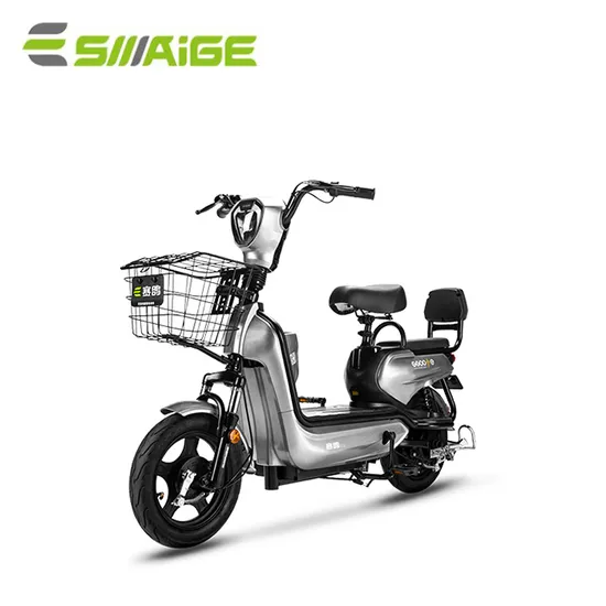 EEC Model Electric Bicycle with Long and Far Light Headlamp