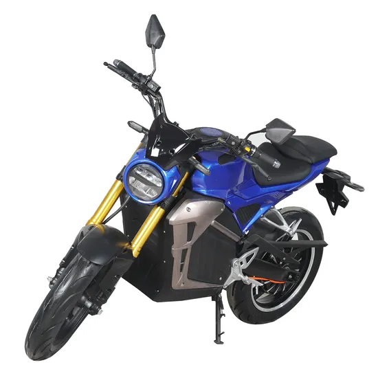 China Factory High Quality Hot Sales Electric Motorcycles Designs Good Price for Sale