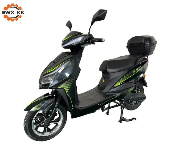 EEC Classic Electric Motorcycle Kk-S6 with Front and Rear Disc Brake