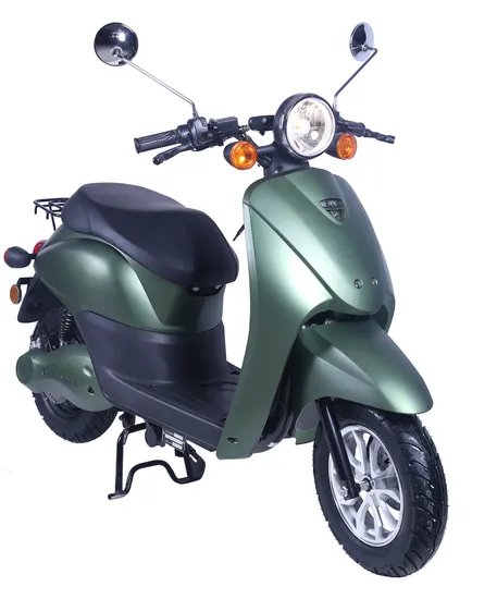 E2go 2000W with 48V40ah Removable Lithium Battery