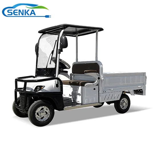 Senka off-Road Farm Use Golf Cart South African Market 2 Seats 72V Lithium Battery Electric Tricycle with Cargo Box