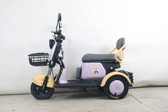 3 Wheels Electric Scooter with 20A Lead-Acid Battery 500W Electric Mobility Vehicle