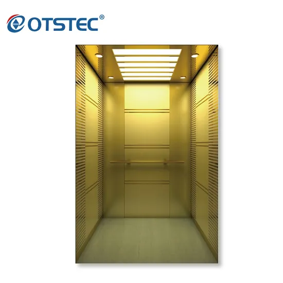 Safety Stainless Steel Mirror Luxury Gearless Residential Home Elevator Passenger Lift