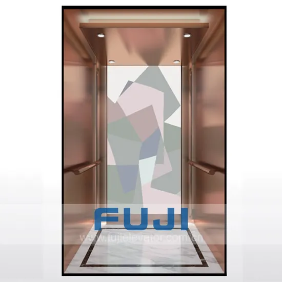 FUJI Commercial Passenger Lift Price