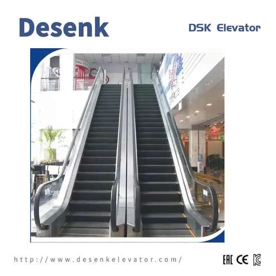 Desenk Safe Home Passenger Indoor Escalator for Shopping Mall Vvvf Electric Escalator Price