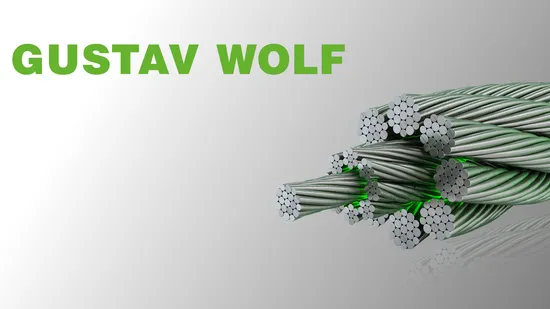 Pawo F3 8*19s D14mm Iwrc 1570 U Sz Seale Elevator Wire Rope