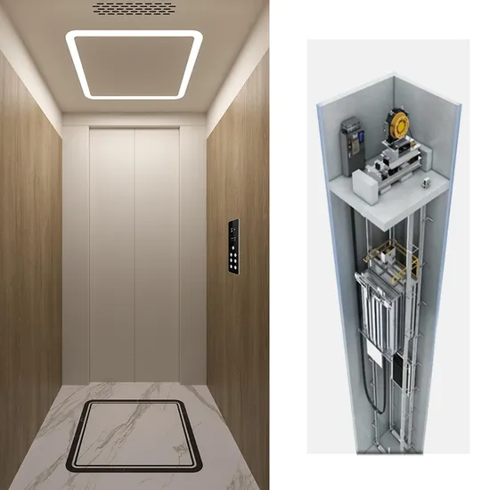 Foshan Factory Elevator Price 6 People Residential Home Elevator 450 Kg