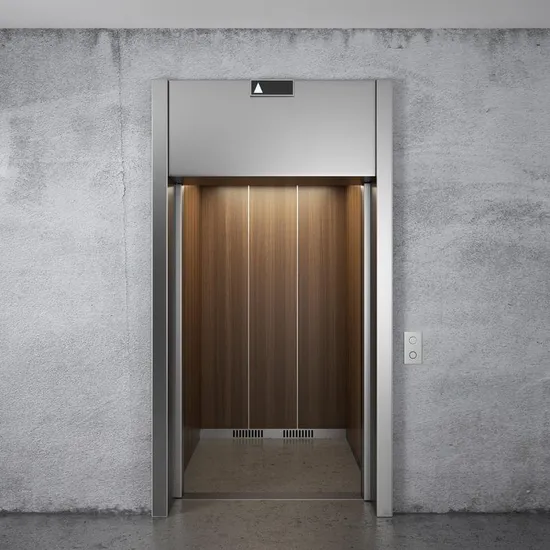 Vvvf 6 Luxury Passenger Lift 320kg Transformation Traction Passenger Elevator