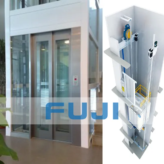 Passenger Elevators Lift Small Home Lift Home Elevator FUJI Elevators Price Villa Elevato