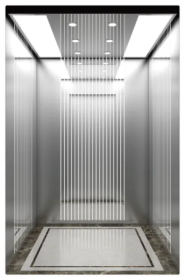 China Home Passenger Lift Elevator with En-81certificate