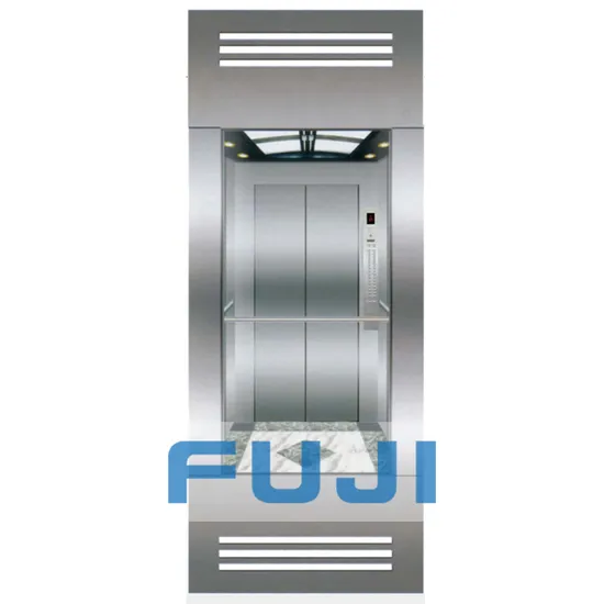FUJI Passenger Glass Observation Elevator Freight Lift Cargo Elevators Home Elevator Price Escalator
