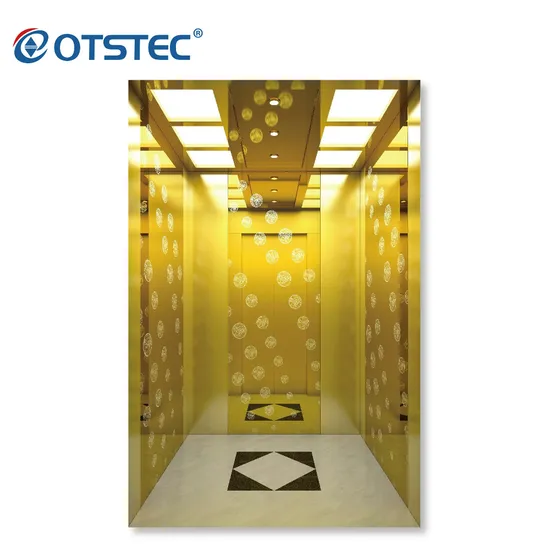 630kg Capacity Passenger Lift Elevator in China with Standard Price