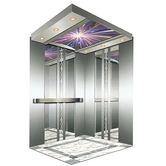 Residential 1000kg Home Office Building Hotel Passenger Elevator