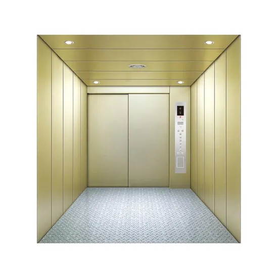 Traction Drive Elevator Cars Parking Underground Car Lifts for Home Garage